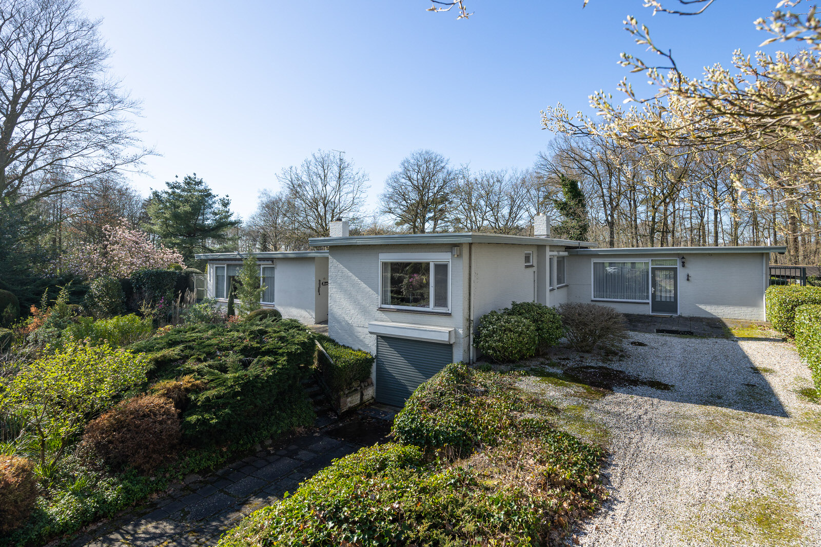 BL100187-16106-139875325