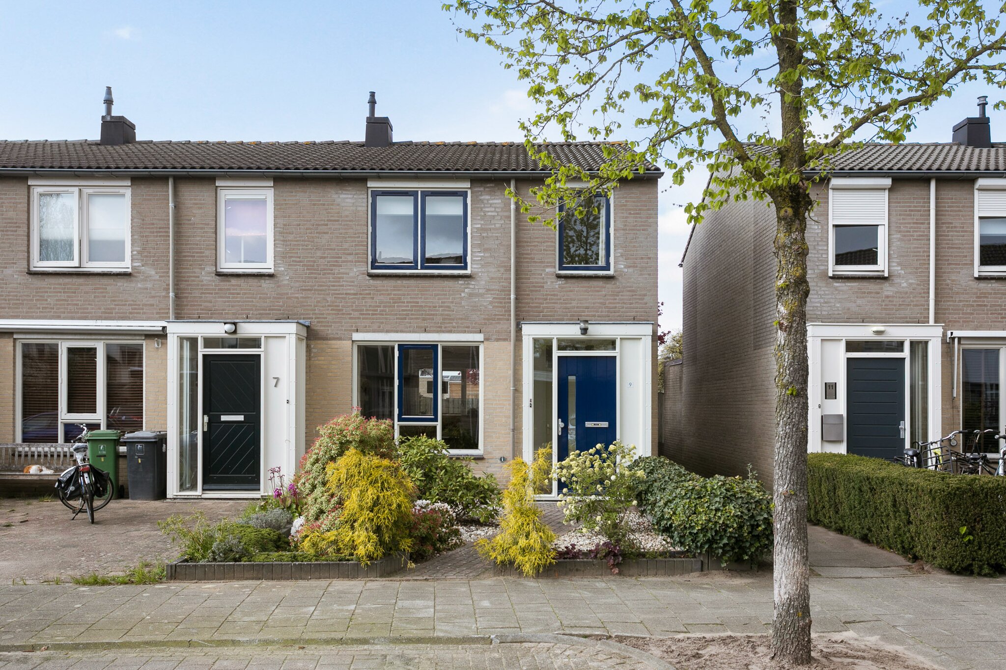 BL100048-12551-92536927