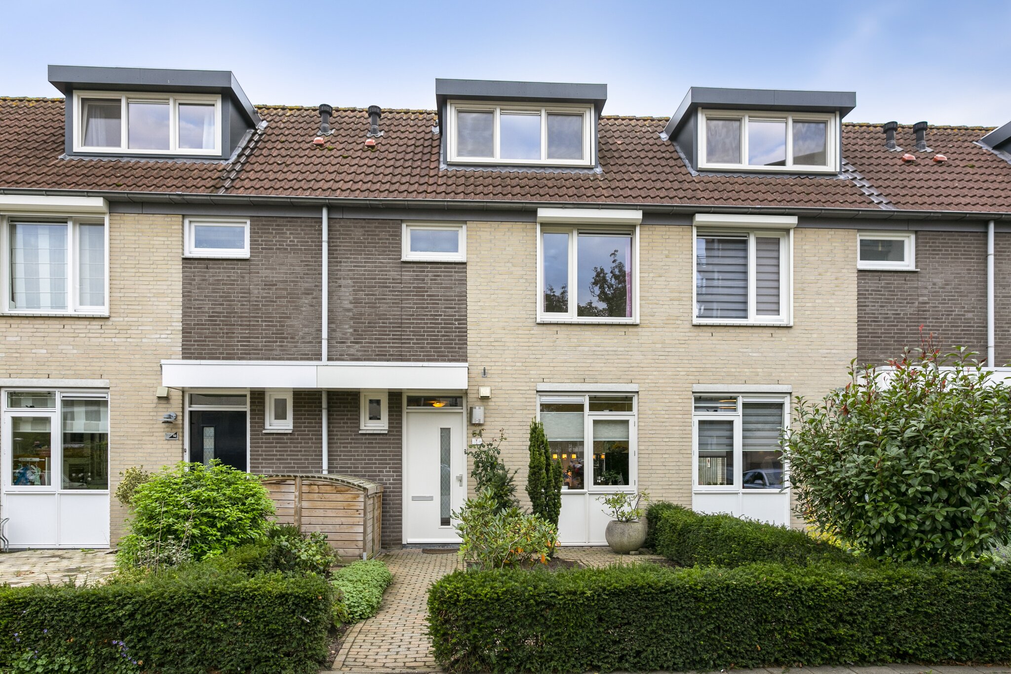 BL100066-12733-92537510