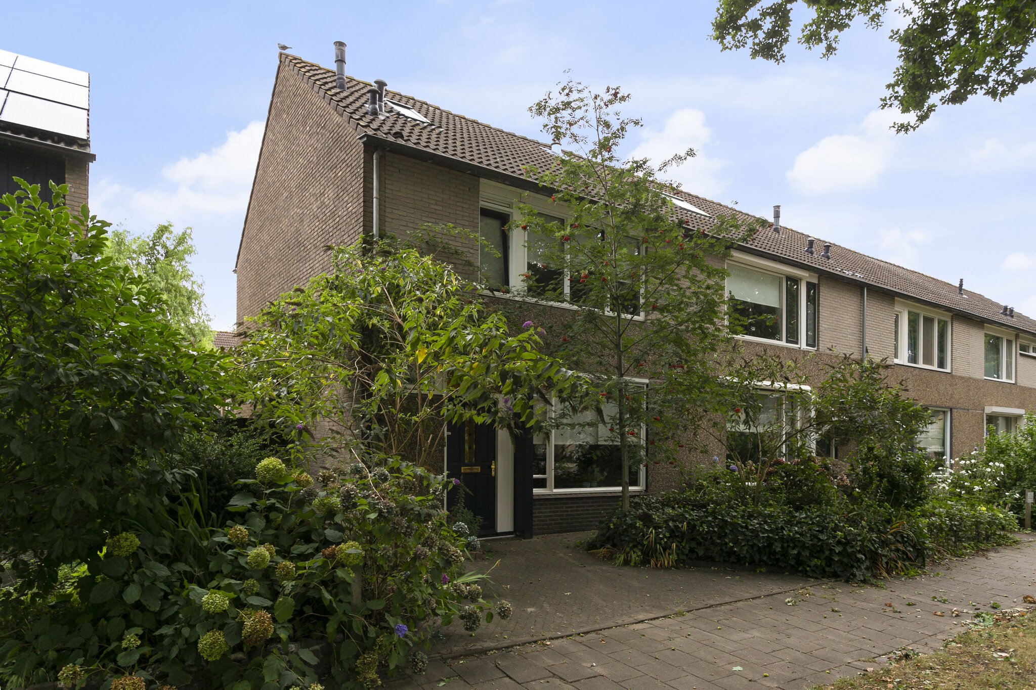 BL100097-11986-95533132