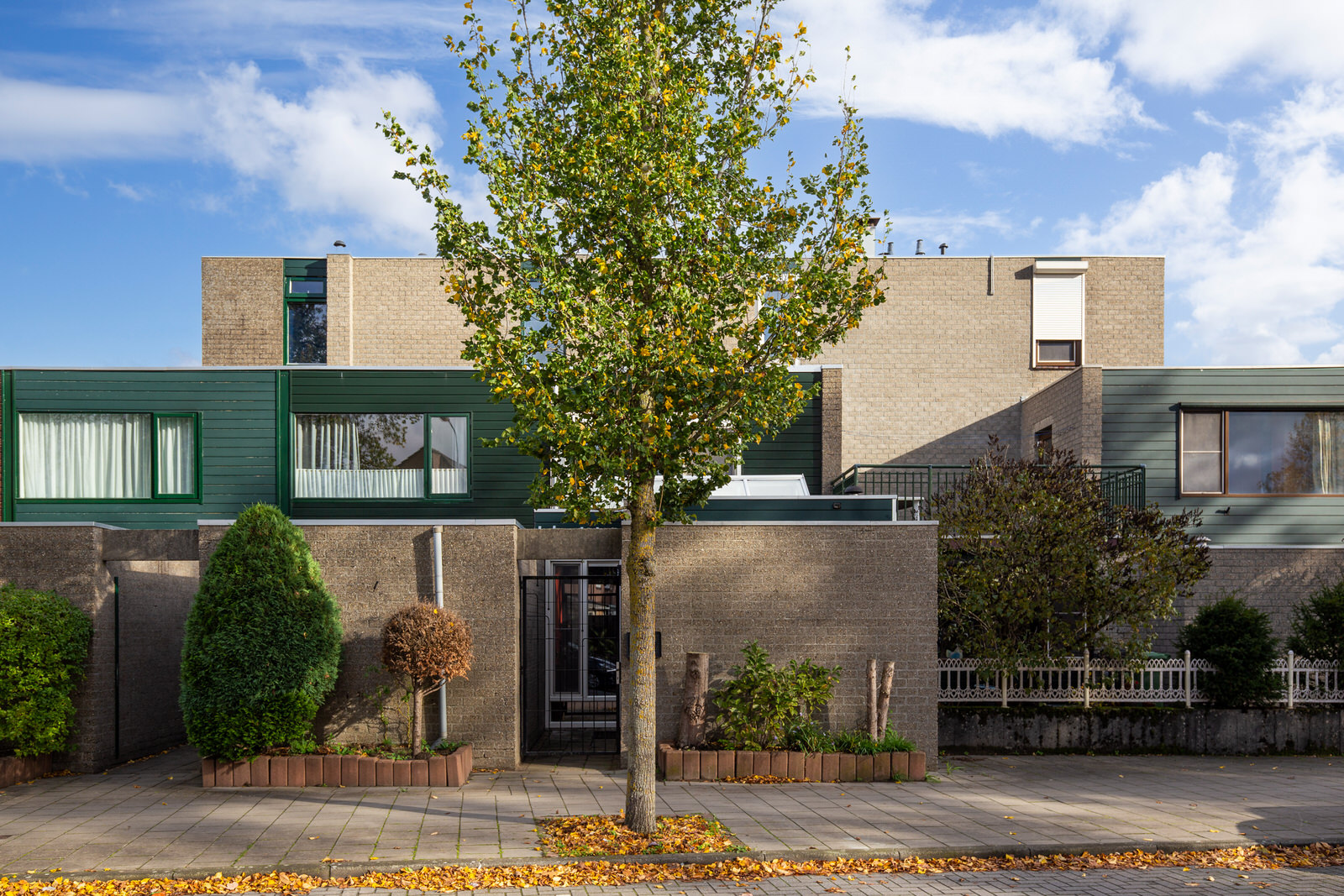 BL100173-15488-133119650