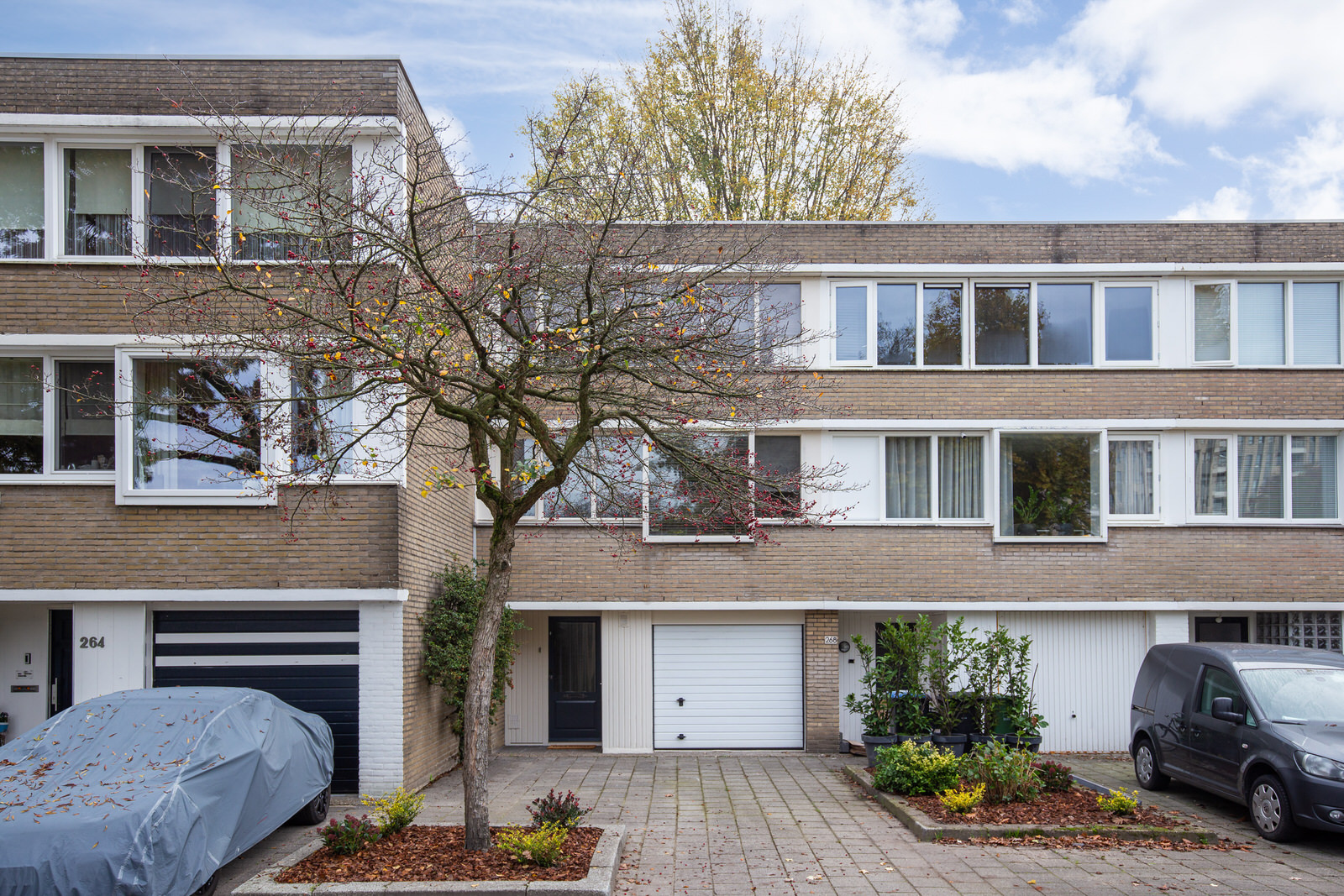 BL100174-15529-133207593