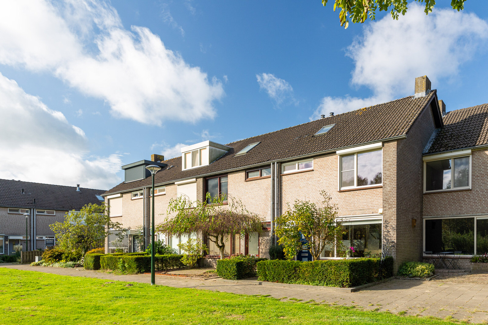 BL100229-19038-201390399