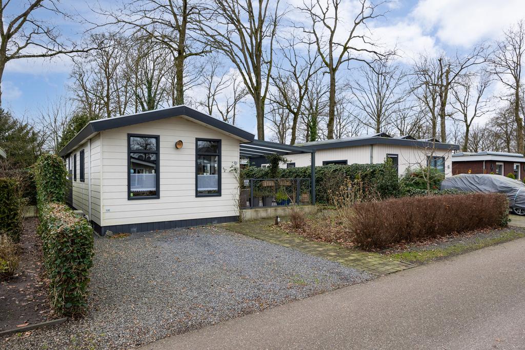 BL100250-19621-Dennendreef-5-033,-Boxtel-216344569