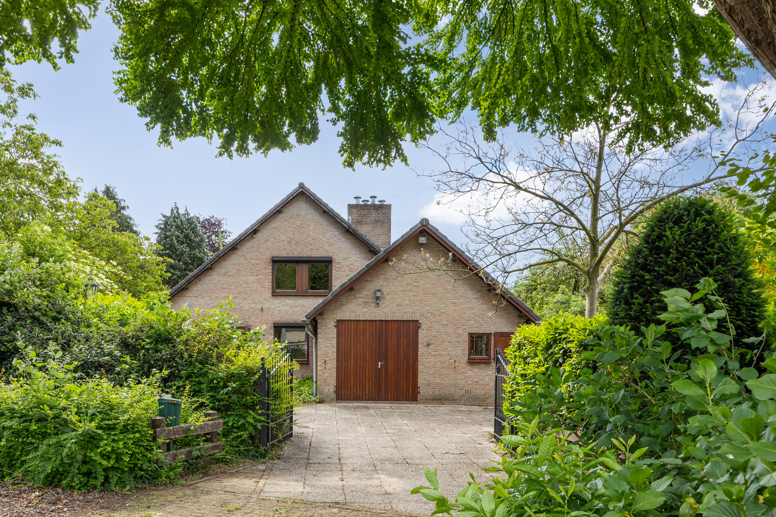 BL100251-20245-231267362