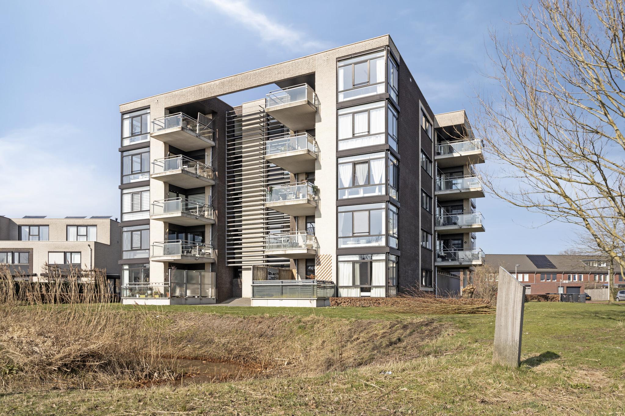 BL100255-19822-219930539