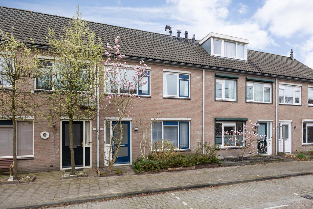 BL100256-20043-Corpus-27,-Boxtel-223038181