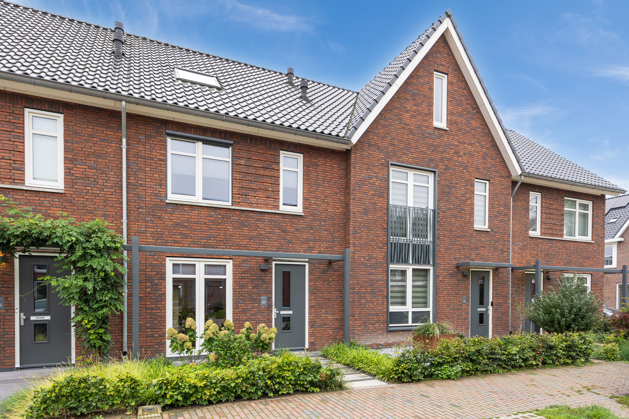 BL100323-32878-Boommarter-37,-Boxtel-293261831